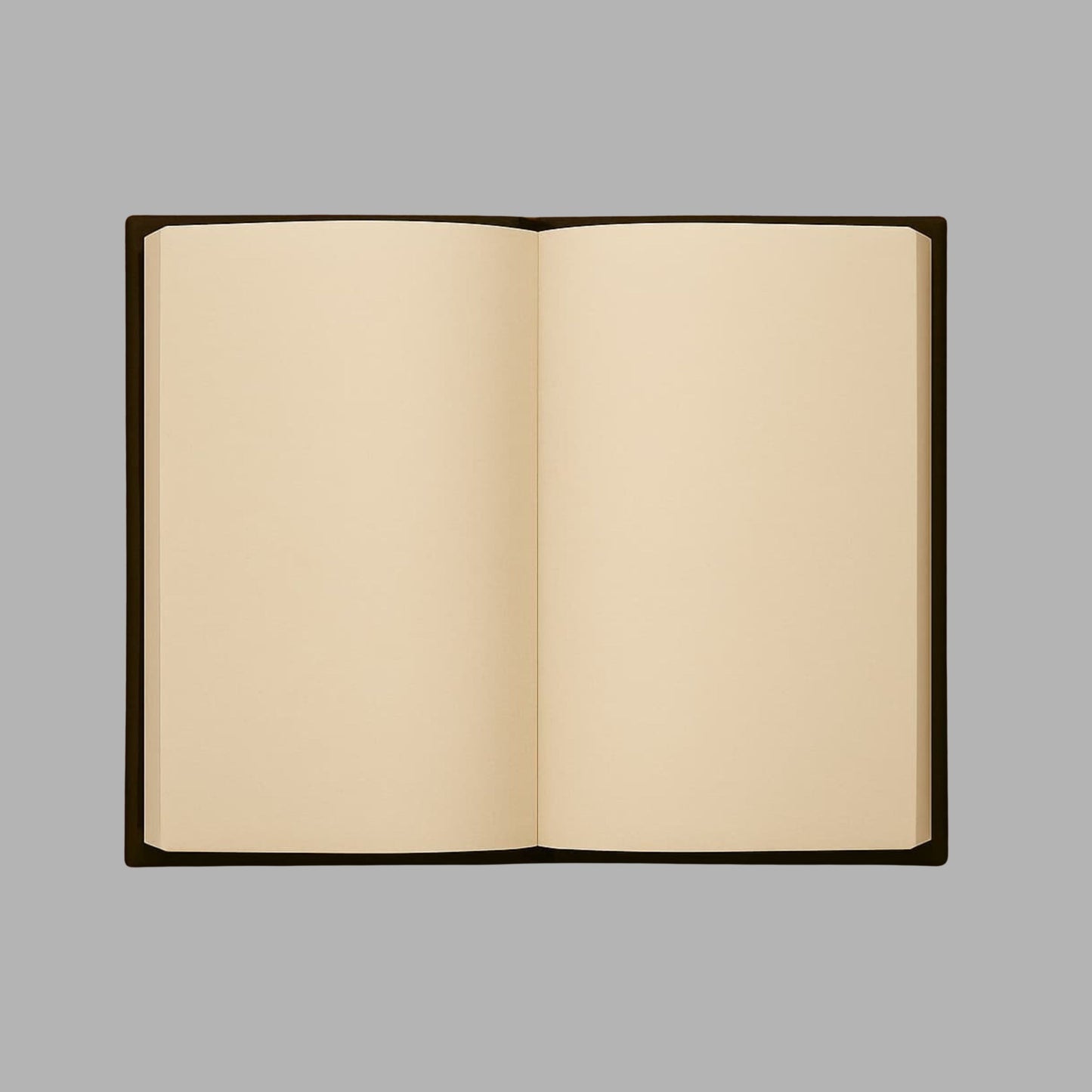 "Le Pacte Interdit" | Carnet Collector Gothique avec Jaquette & Couverture en Lin Noir | 100 pages