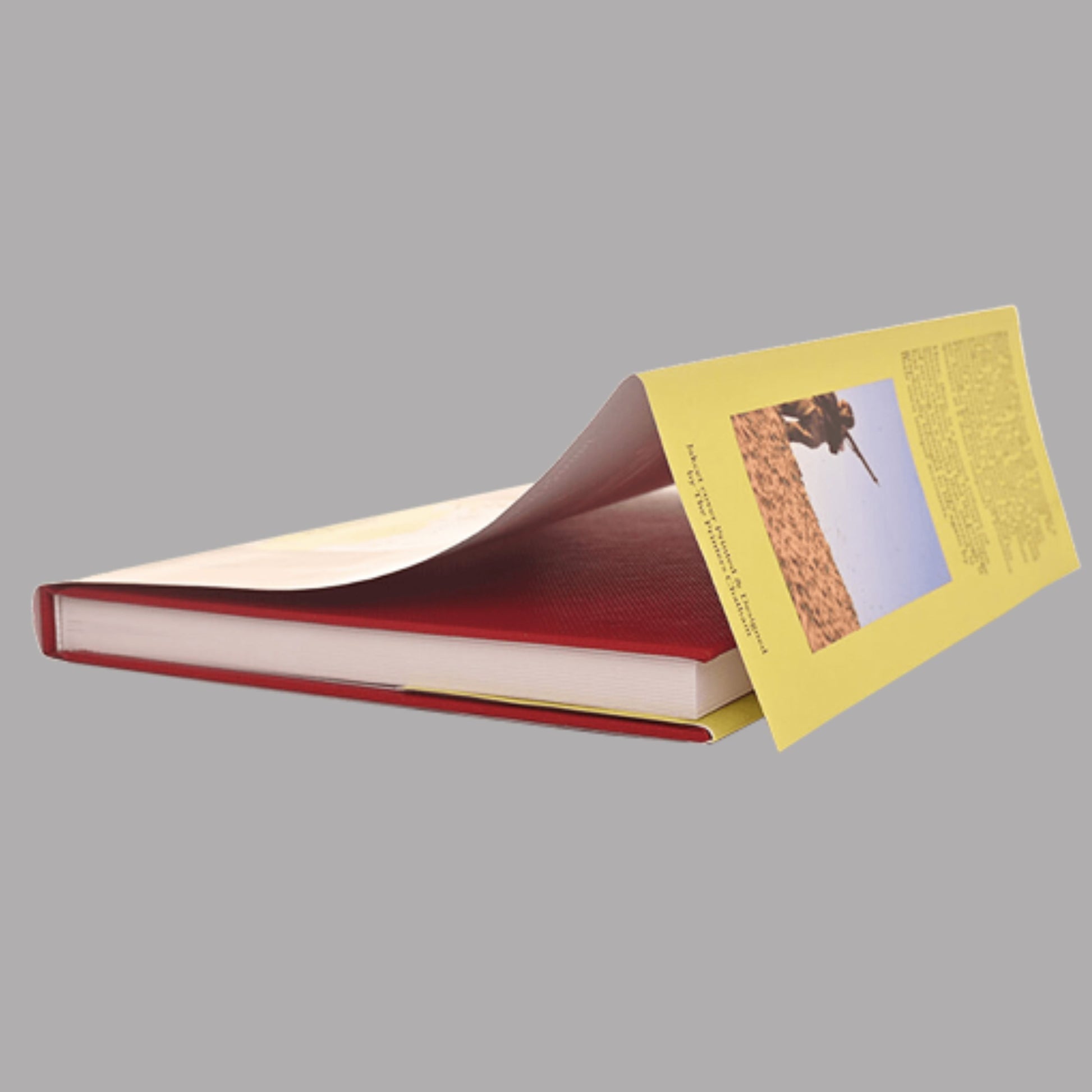 Exemple de jaquette du livre pour la Collector Gothique