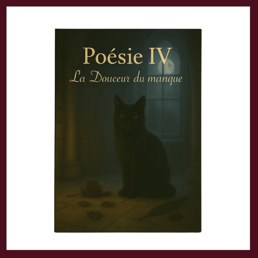 Couverture avant du carnet Poésie IV : La Douceur du manque inspiré du romantisme gothique